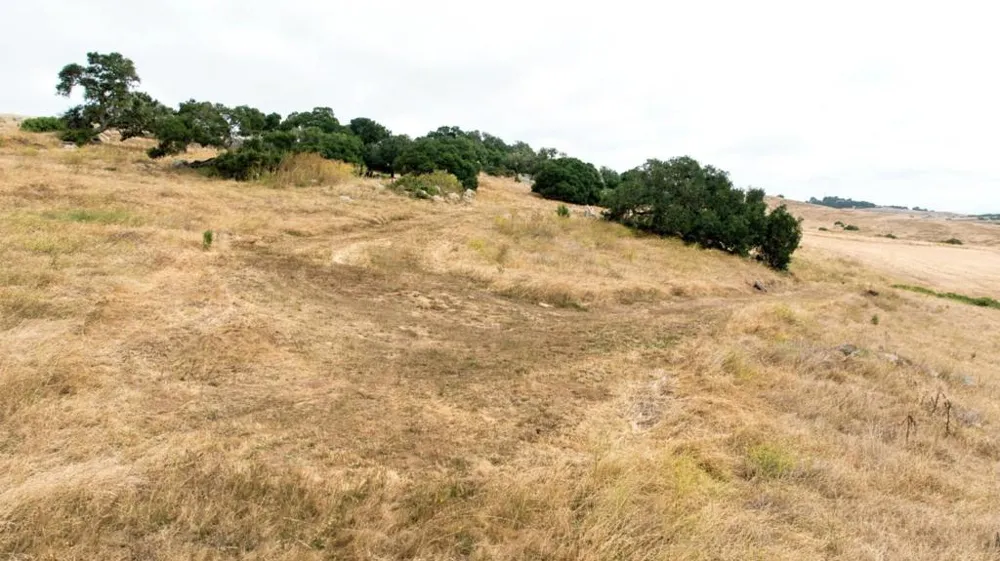 1 Little Merrill Road San Juan Bautista, CA 95045