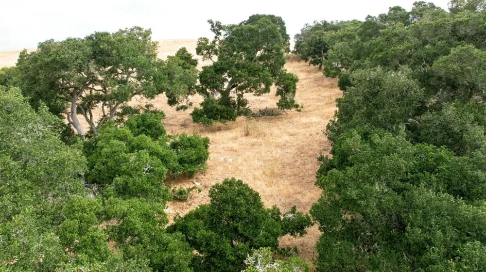 1 Little Merrill Road San Juan Bautista, CA 95045