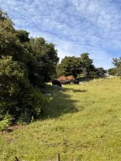 1 Little Merrill Road San Juan Bautista, CA 95045