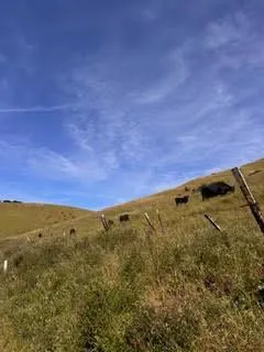 1 Little Merrill Road San Juan Bautista, CA 95045