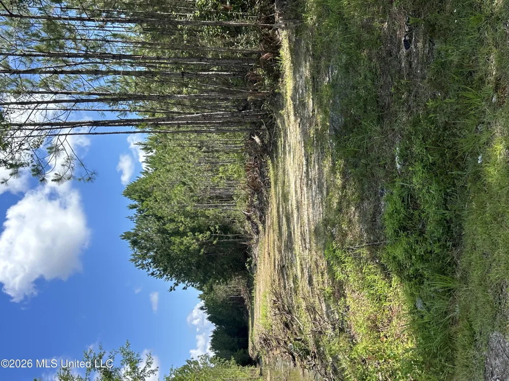 Heidelburg Drive Gautier, MS 39553