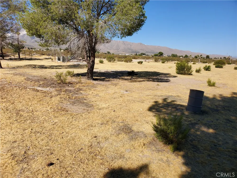 9870 Cody Lucerne Valley, CA 92356