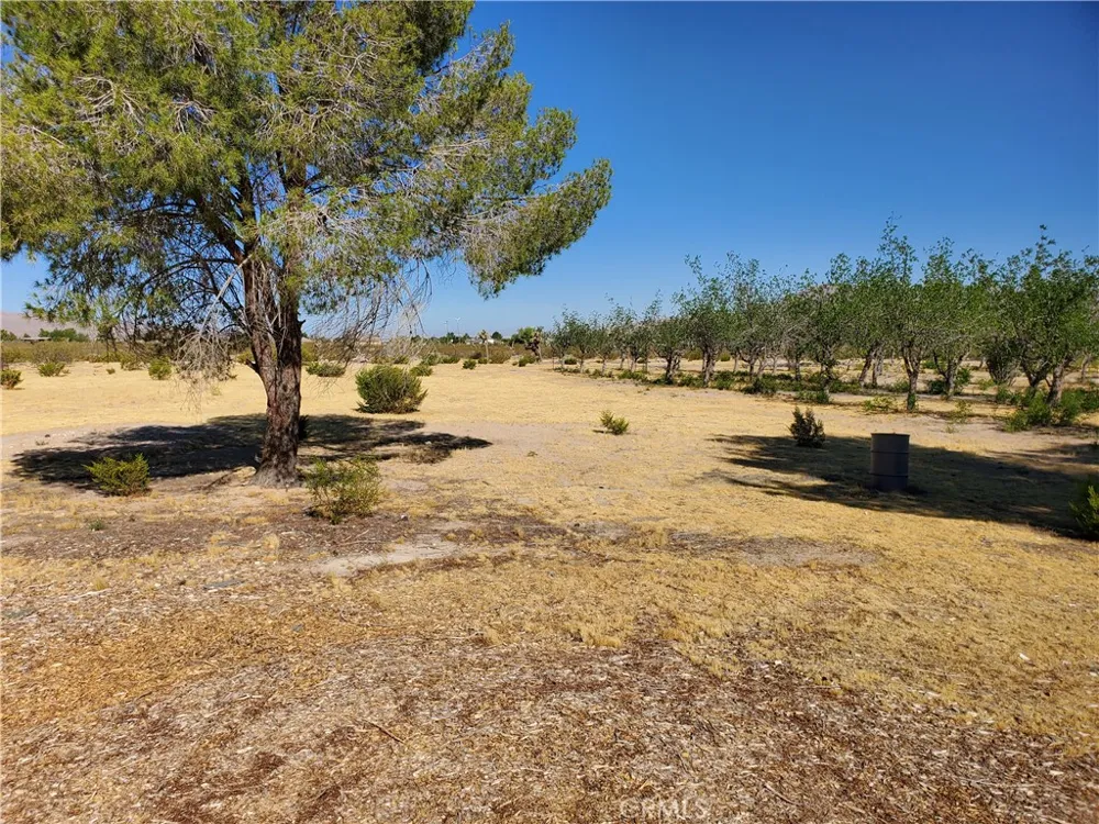 9870 Cody Lucerne Valley, CA 92356