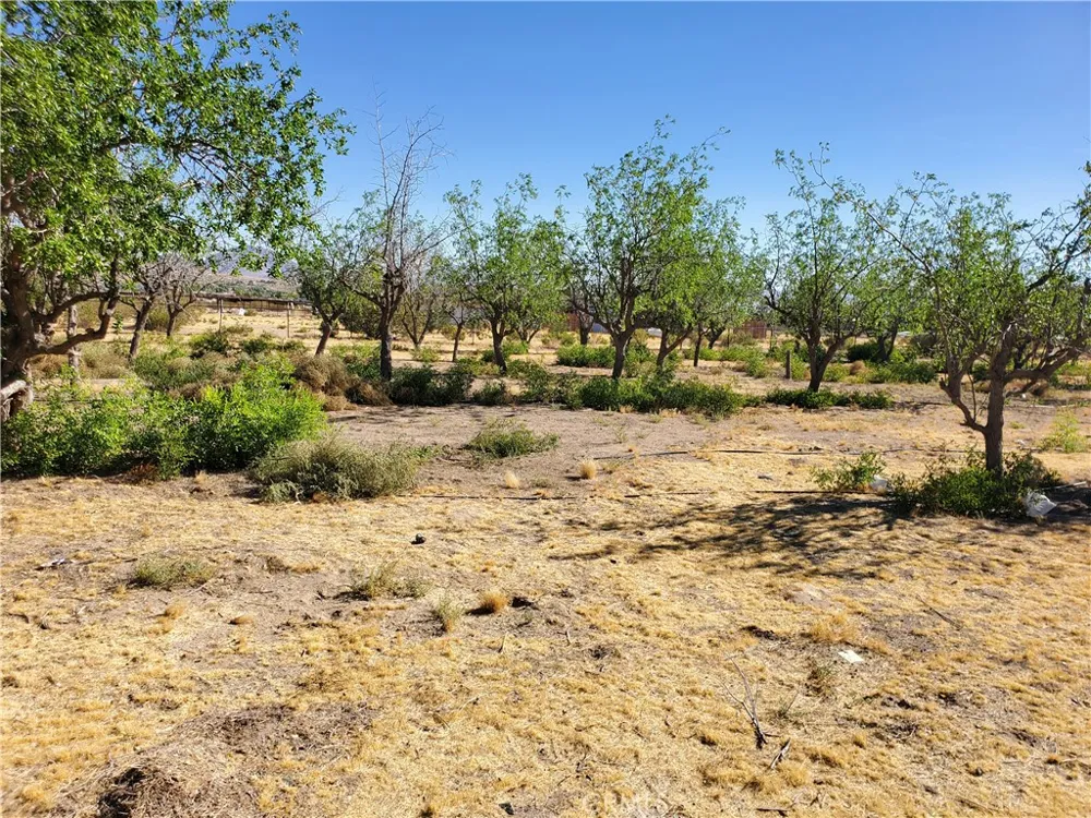 9870 Cody Lucerne Valley, CA 92356