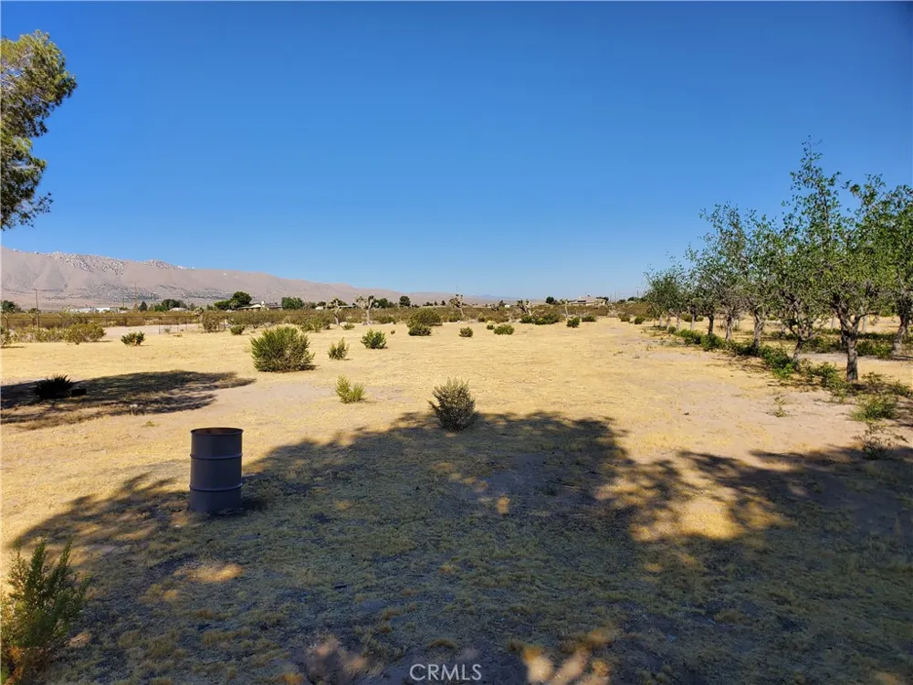 9870 Cody Lucerne Valley, CA 92356