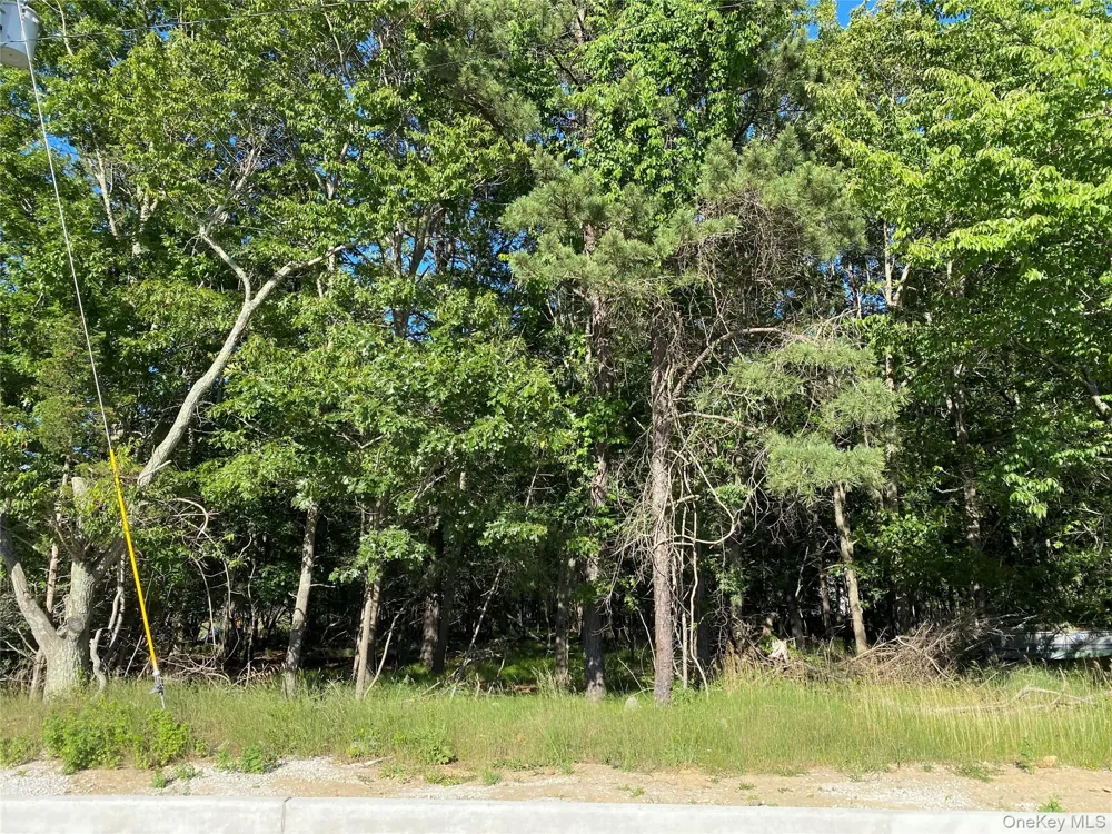 Pleasant Avenue Medford, NY 11763