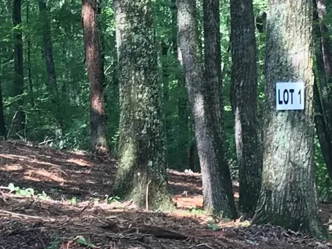 1 Piney Knob Drive