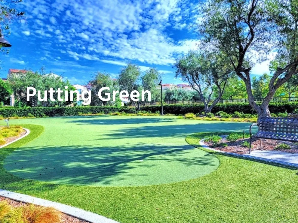 100 DESERT LOTUS Irvine, CA 92618