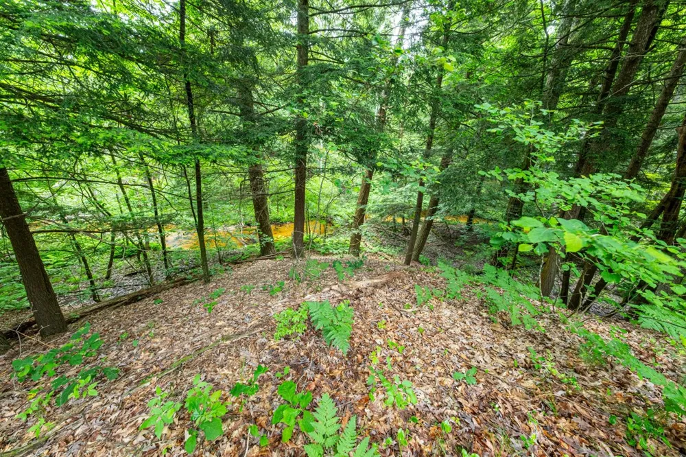 6068 S 142nd Avenue Rothbury, MI 49452