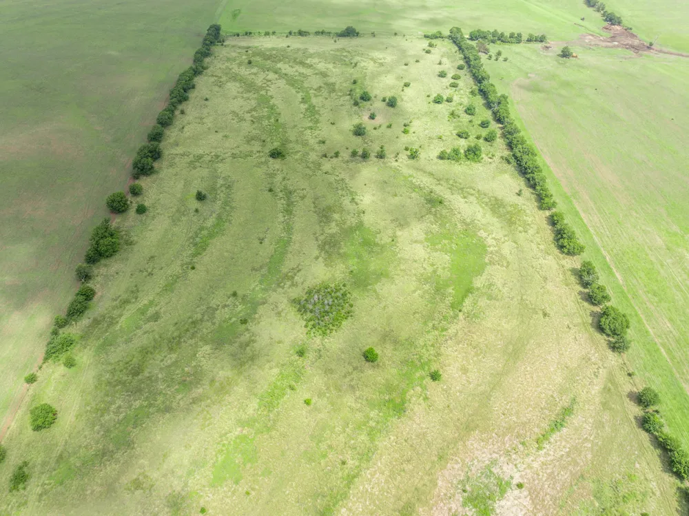 3725 CR 272 Oglesby, TX 76561