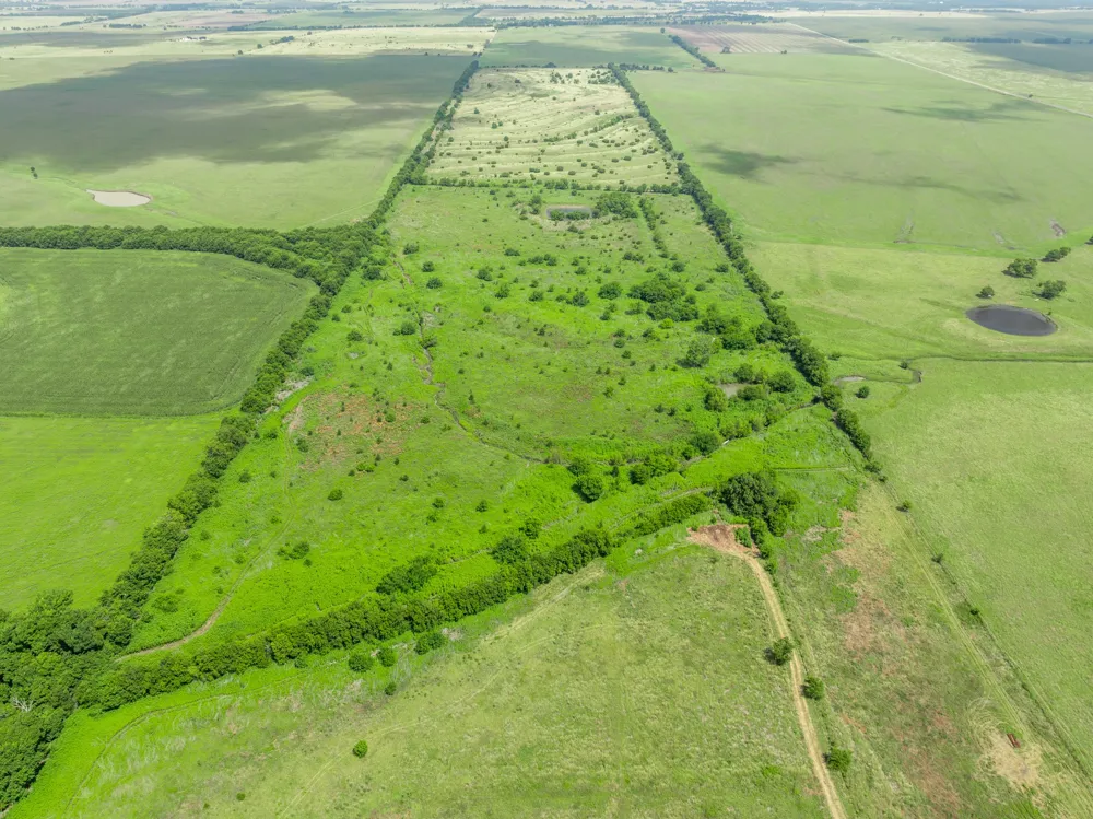 3725 CR 272 Oglesby, TX 76561