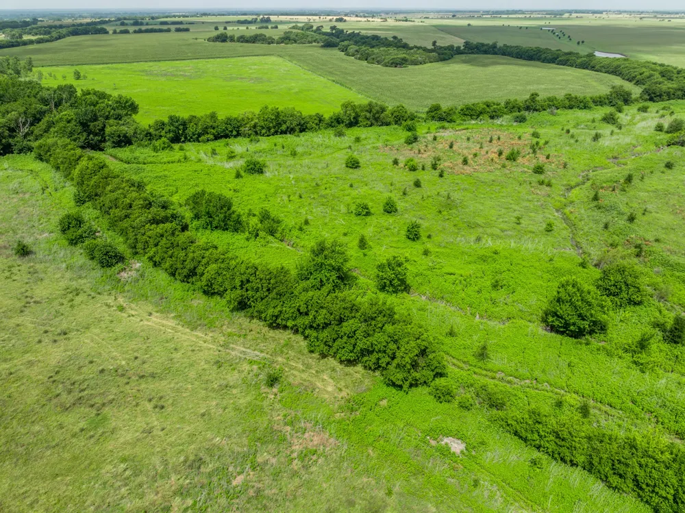 3725 CR 272 Oglesby, TX 76561