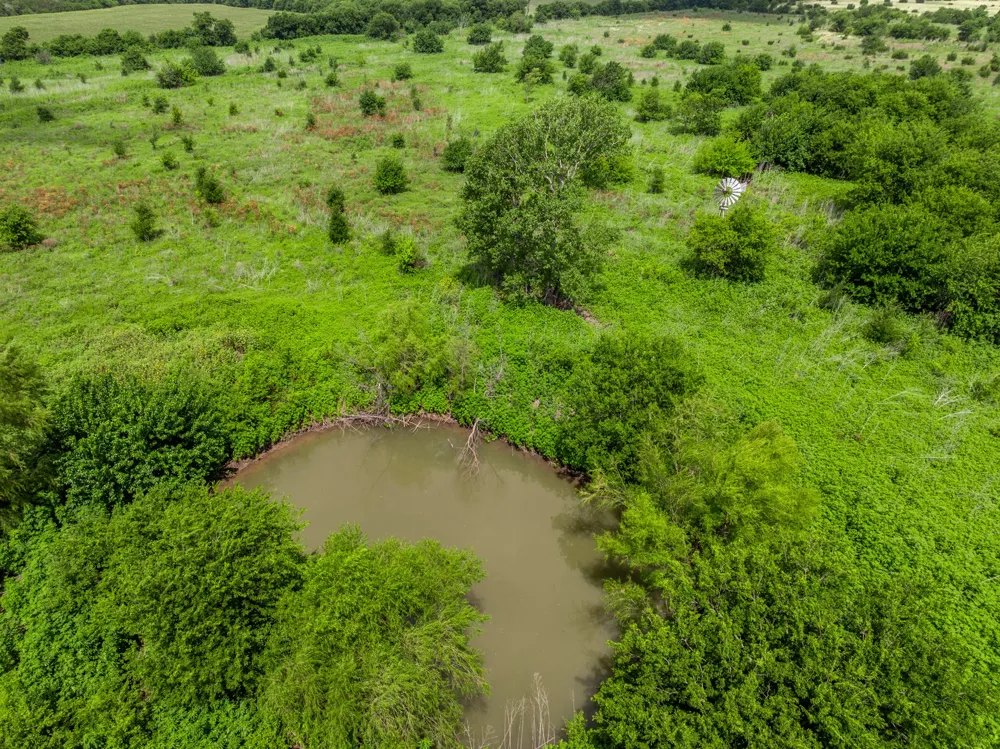 3725 CR 272 Oglesby, TX 76561