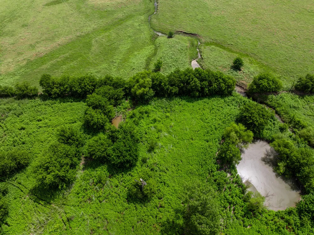 3725 CR 272 Oglesby, TX 76561