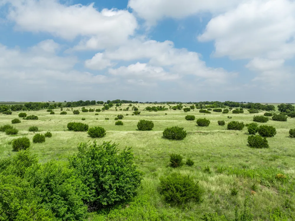 3725 CR 272 Oglesby, TX 76561
