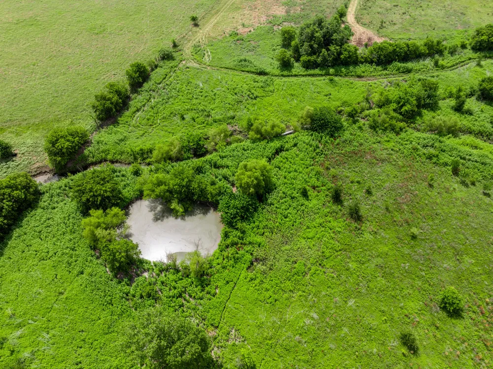 3725 CR 272 Oglesby, TX 76561
