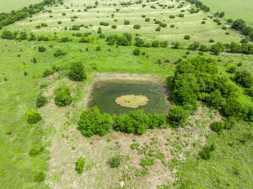 3725 CR 272 Oglesby, TX 76561