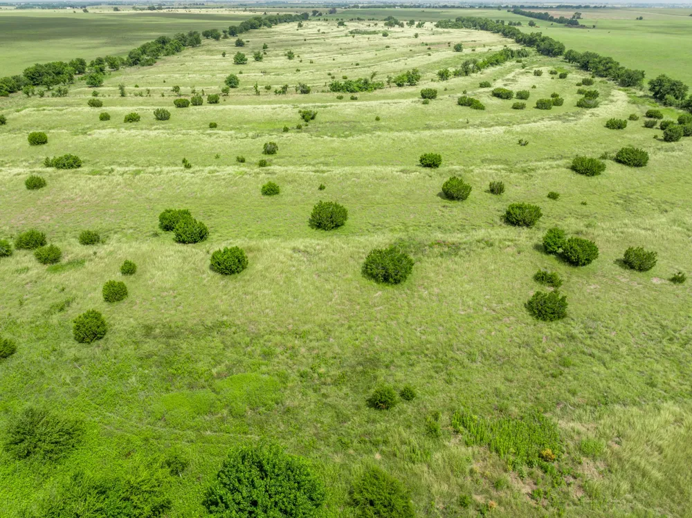 3725 CR 272 Oglesby, TX 76561
