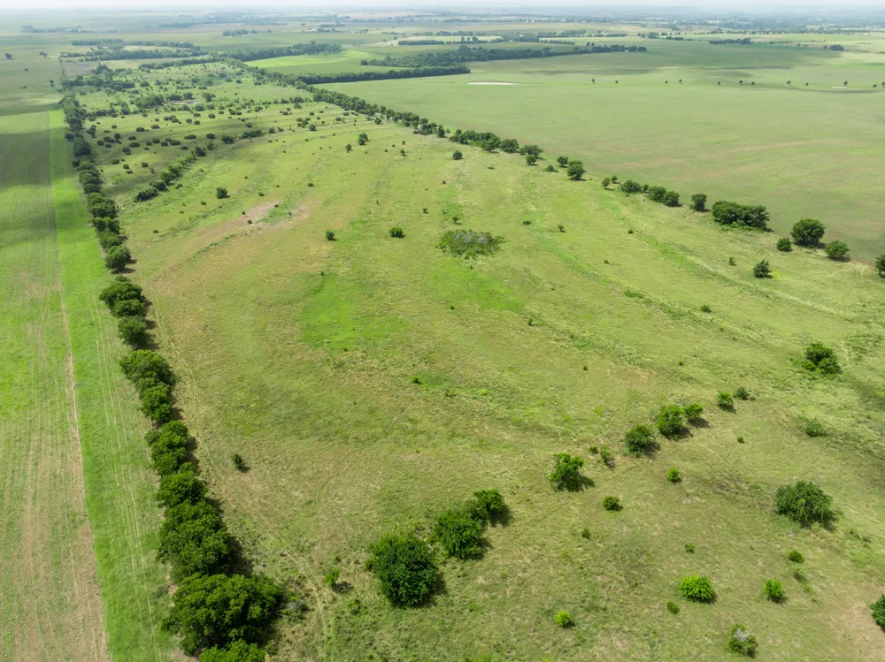 3725 CR 272 Oglesby, TX 76561