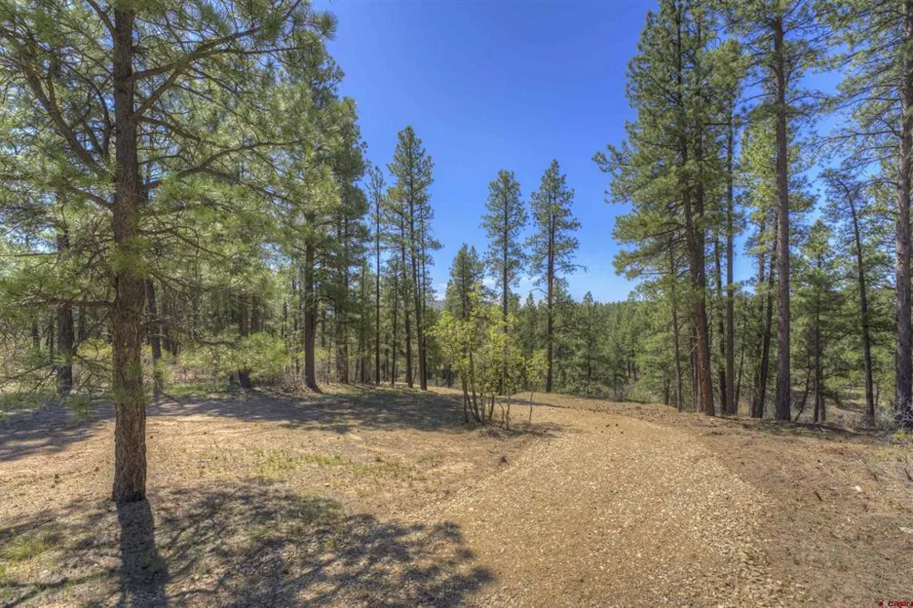 1100 CR125 Durango, CO 81303