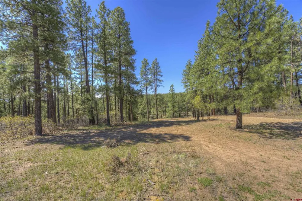 1100 CR125 Durango, CO 81303