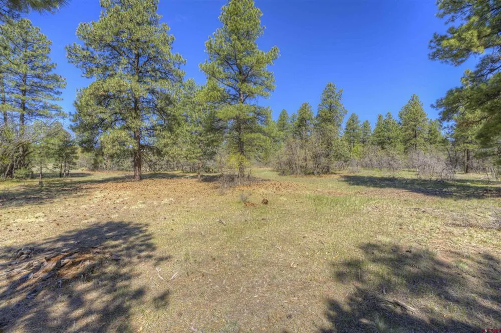 1100 CR125 Durango, CO 81303
