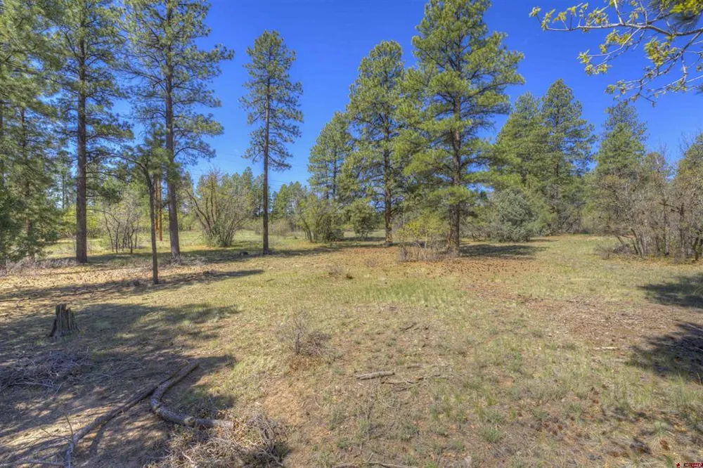 1100 CR125 Durango, CO 81303