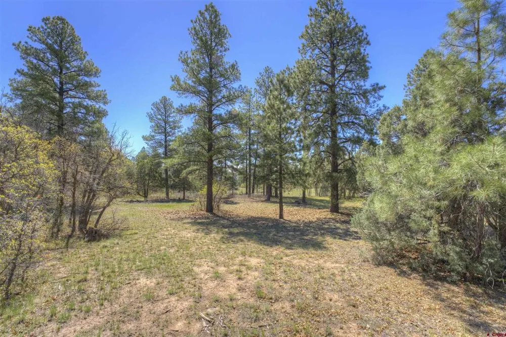 1100 CR125 Durango, CO 81303