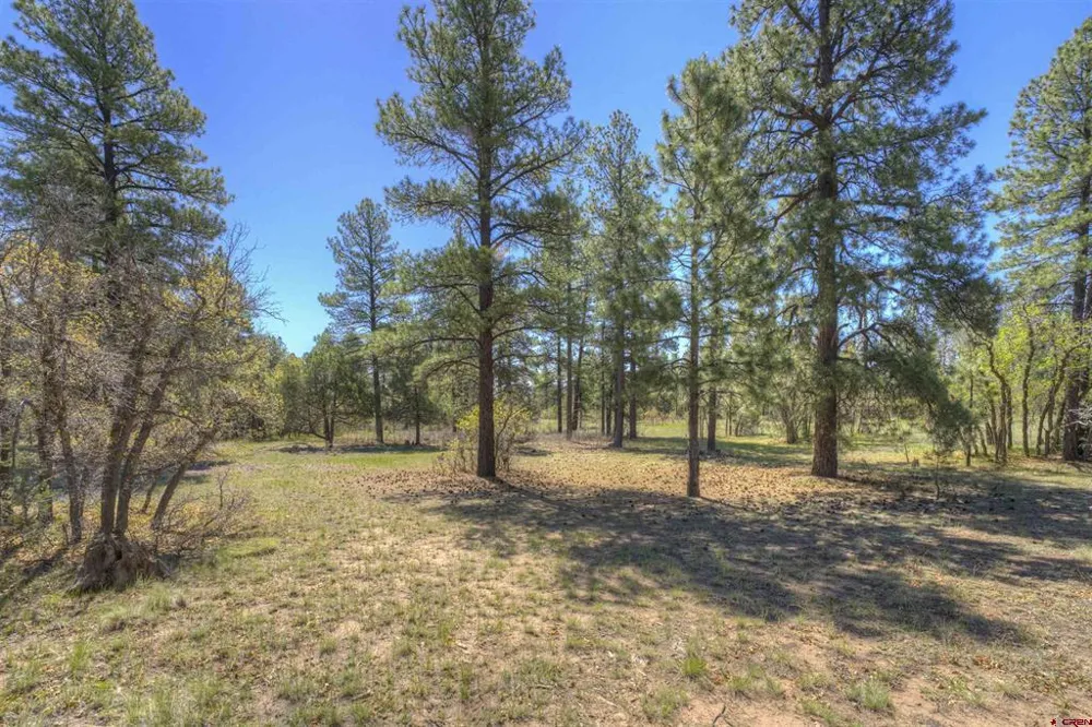1100 CR125 Durango, CO 81303