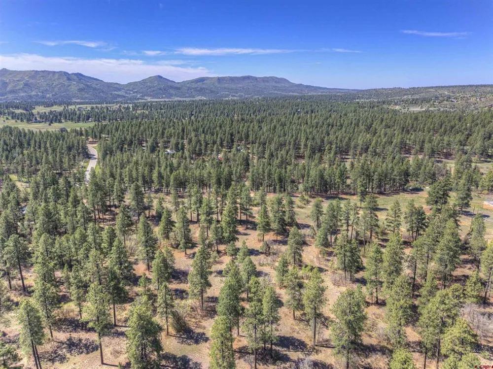 1100 CR125 Durango, CO 81303