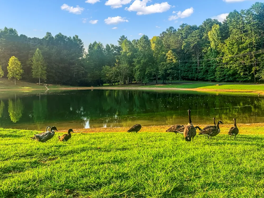 1269 Hunter Drive Ranger, GA 30734