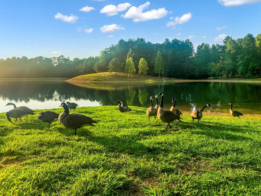 1269 Hunter Drive Ranger, GA 30734
