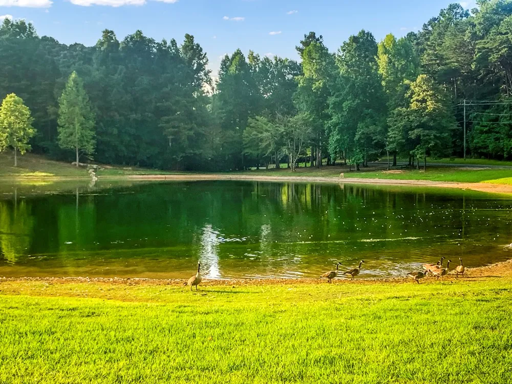 1269 Hunter Drive Ranger, GA 30734