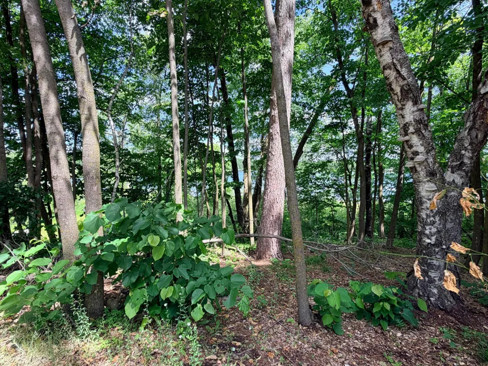 14220 Stocking Lake Road Menahga, MN 56464