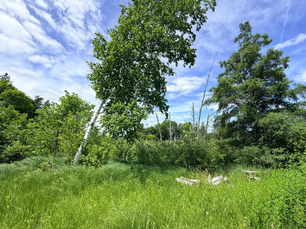 14220 Stocking Lake Road Menahga, MN 56464