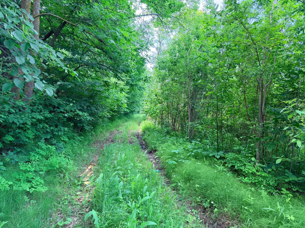14220 Stocking Lake Road Menahga, MN 56464
