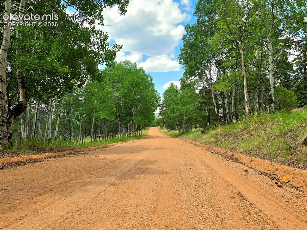 584 Sourdough Road Woodland Park, CO 80863