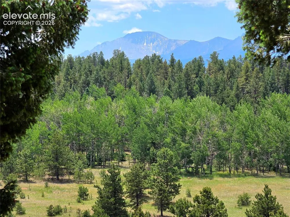 584 Sourdough Road Woodland Park, CO 80863