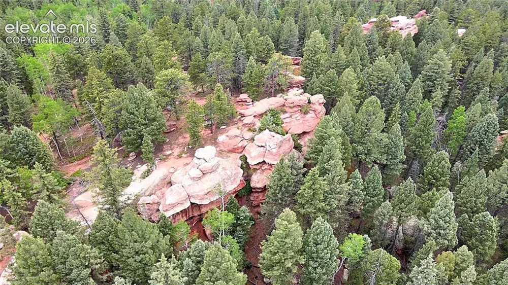 584 Sourdough Road Woodland Park, CO 80863