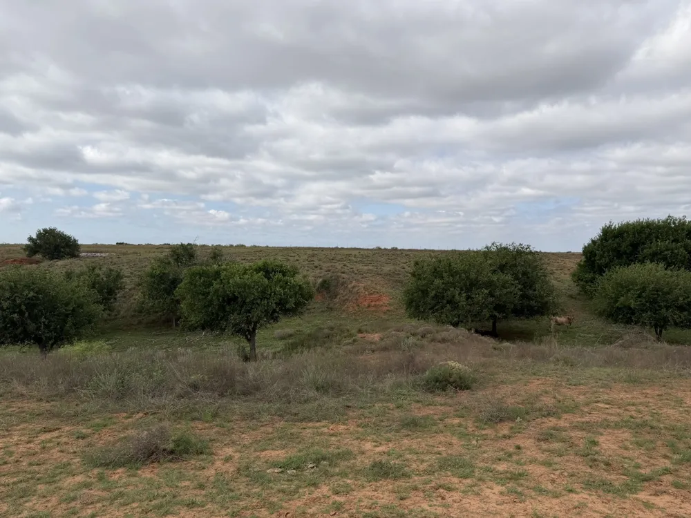 15450 Farm to Market 2103 Childress, TX 79201