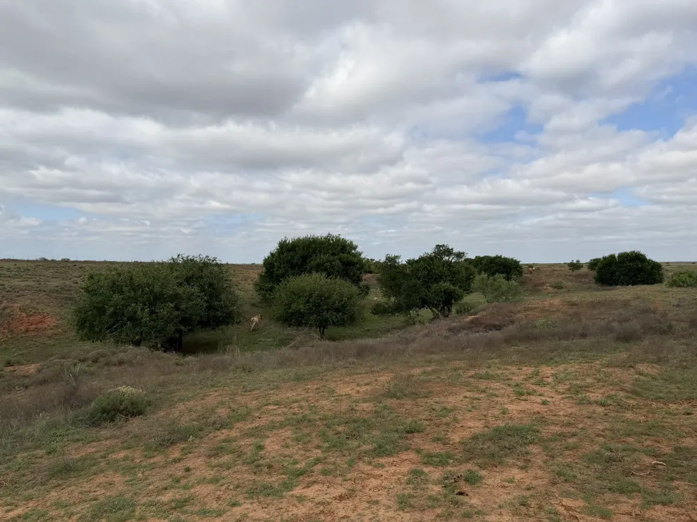 15450 Farm to Market 2103 Childress, TX 79201