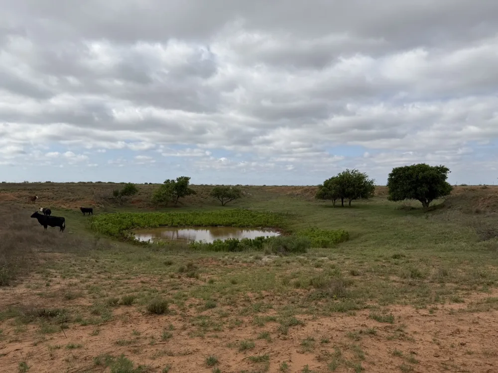 15450 Farm to Market 2103 Childress, TX 79201