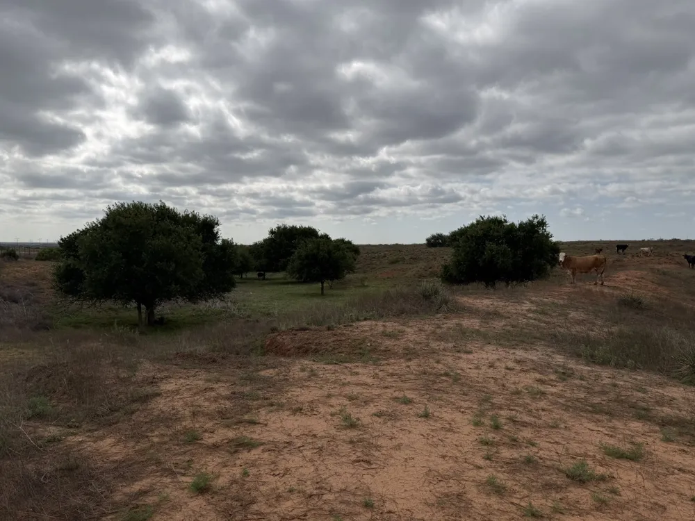 15450 Farm to Market 2103 Childress, TX 79201
