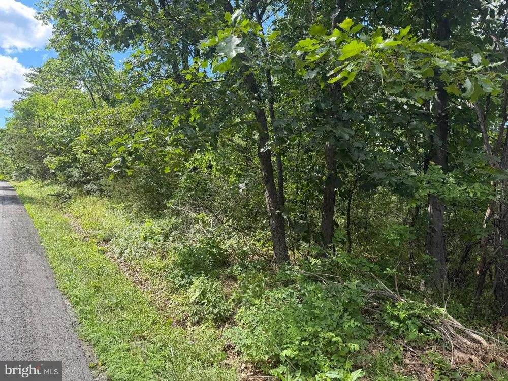REDBUD ROAD Stephenson, VA 22656