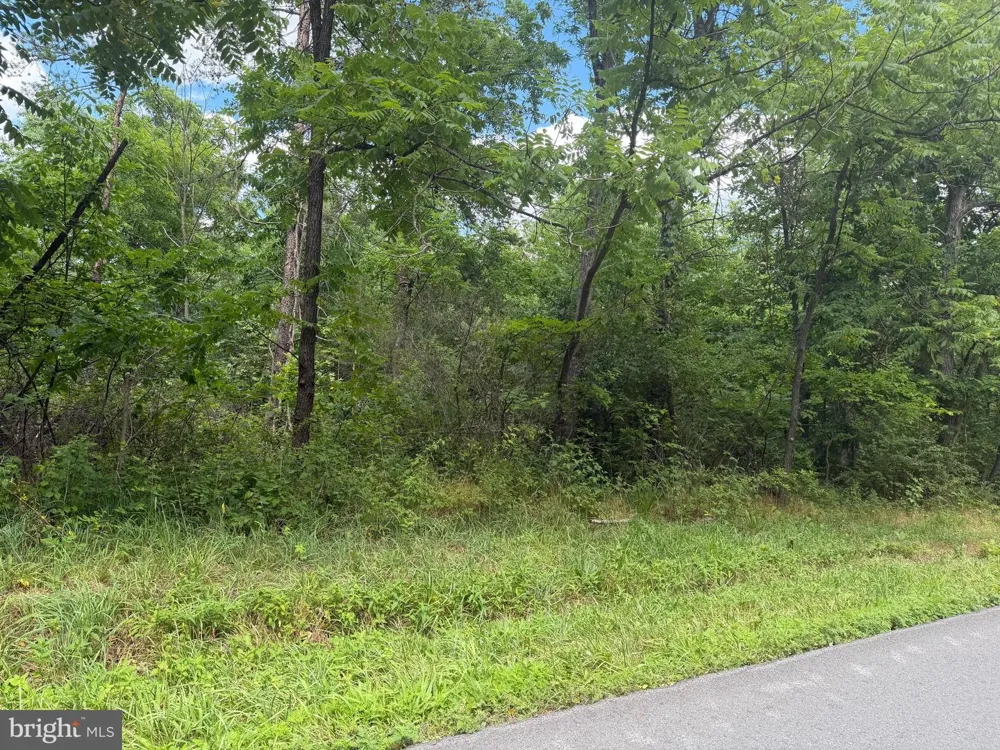 REDBUD ROAD Stephenson, VA 22656