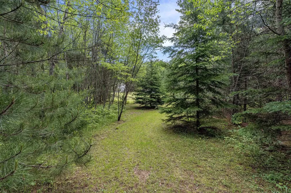 8767 Rustic Lane Garfield Township, MI 49633