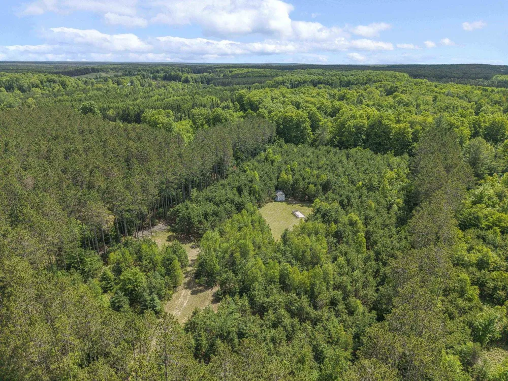 8767 Rustic Lane Garfield Township, MI 49633