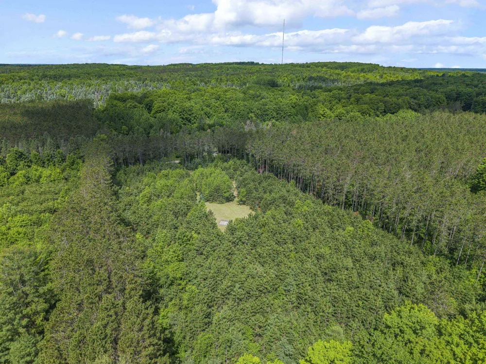 8767 Rustic Lane Garfield Township, MI 49633