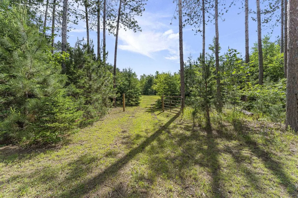 8767 Rustic Lane Garfield Township, MI 49633