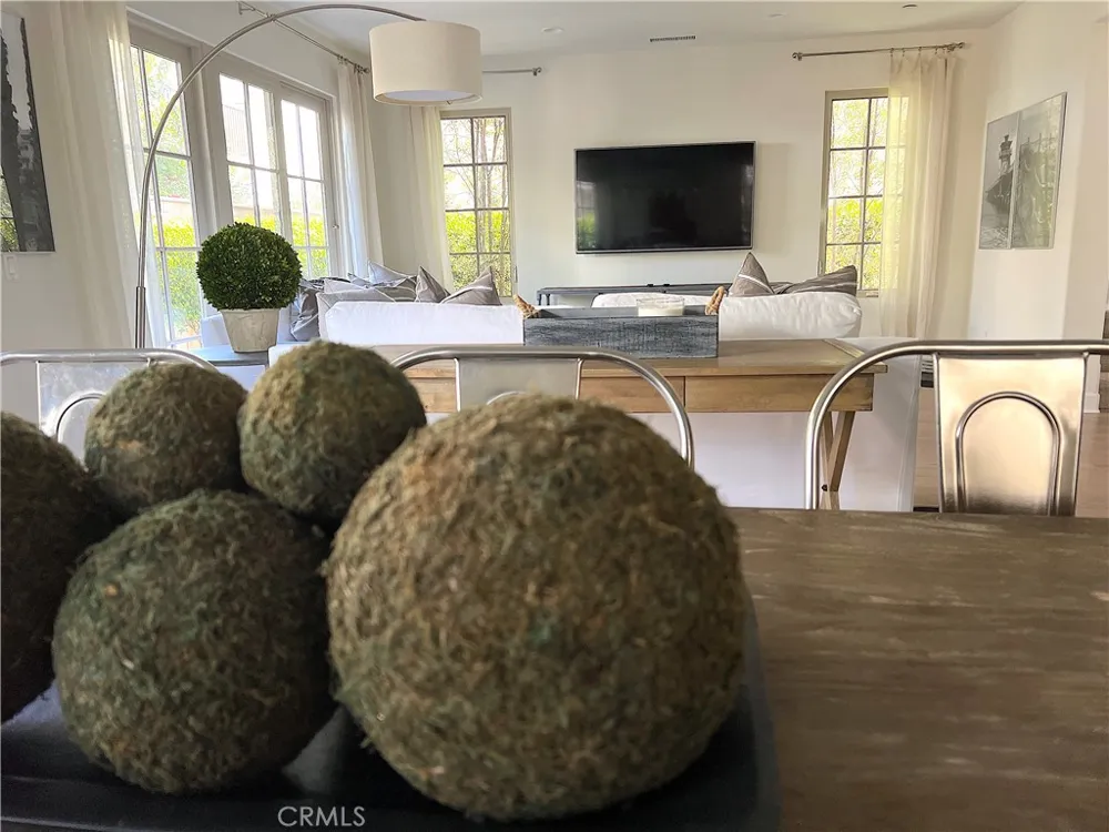 202 Via Galicia San Clemente, CA 92672
